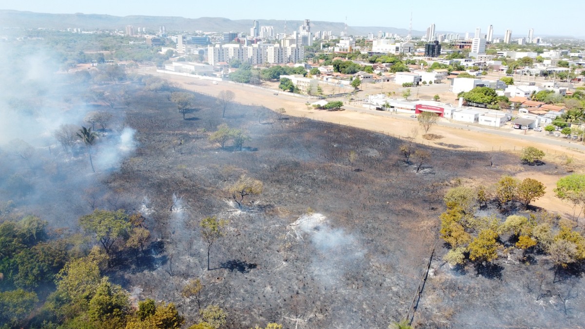 Grande incêndio atinge Parque Sussuapara em Palmas, Tocantins.