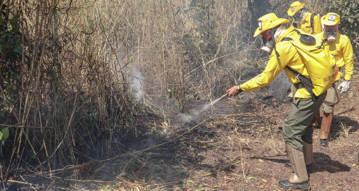 Tocantins anuncia investimento de mais de R$ 1 milhão para combate a incêndios florestais