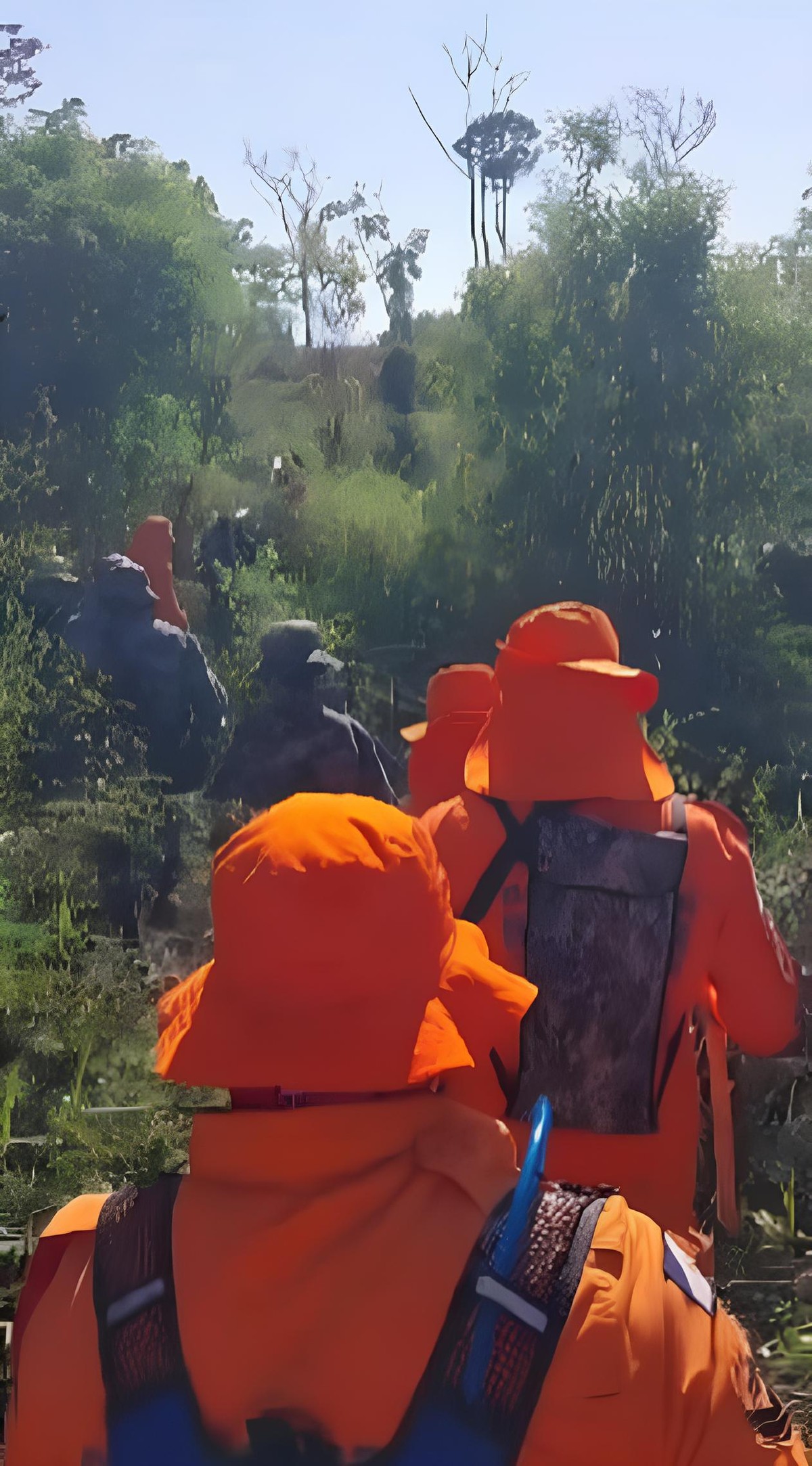 Idoso desaparecido em fazenda de Tocantins: Equipes de busca se dedicam a encontrar Jorge Almeida Basílio