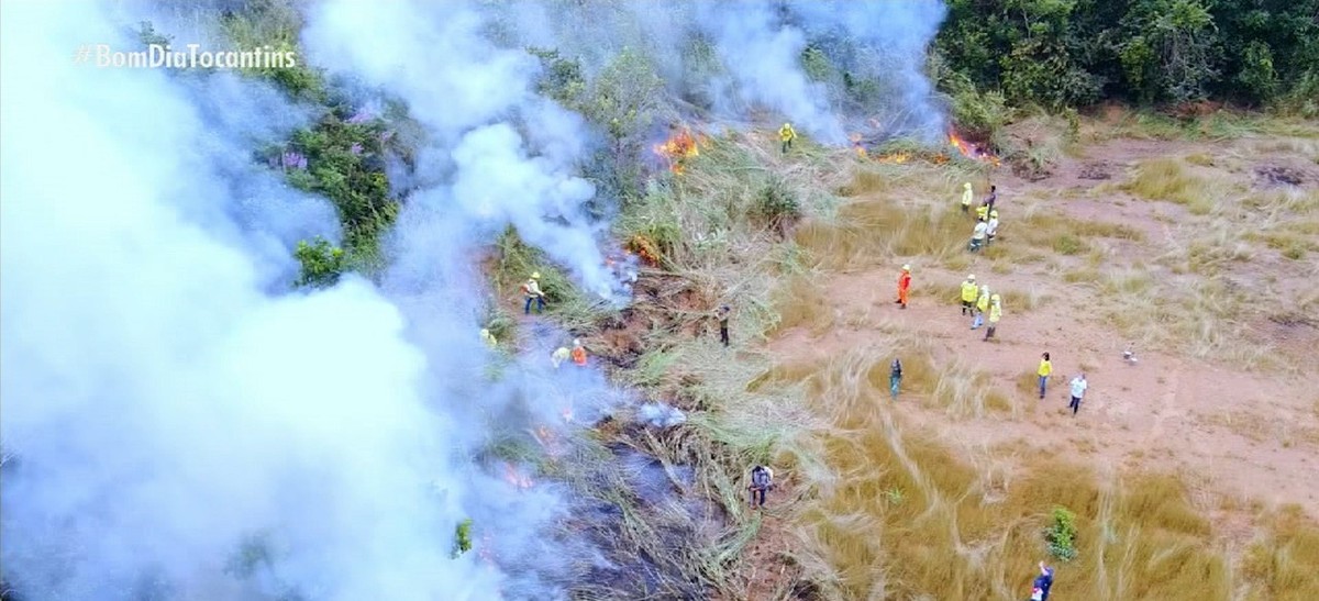 Proibição de Queima Controlada no Tocantins: Medida para Proteger a Biodiversidade