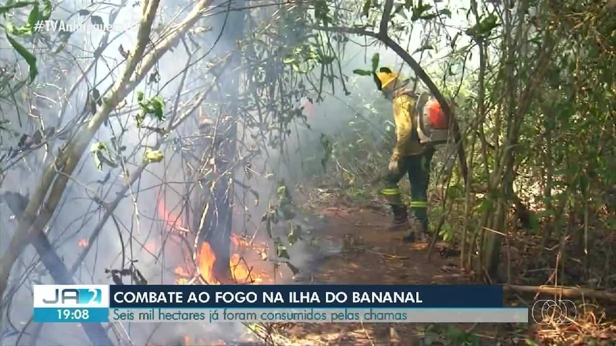 Incêndio florestal na Ilha do Bananal: equipes do Ibama e ICMBio combatem chamas na região da Mata do Mamão.