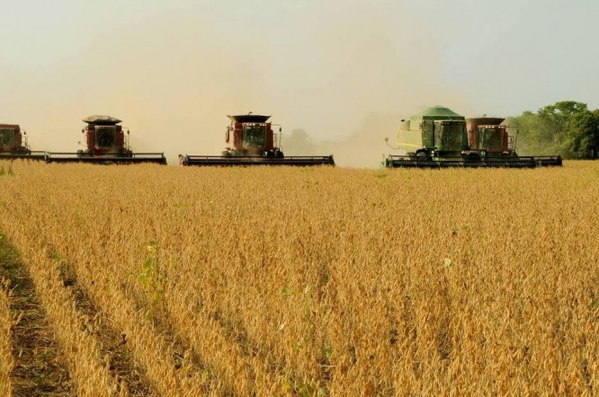 Plantio de soja proibido em Tocantins até setembro para conter pragas.