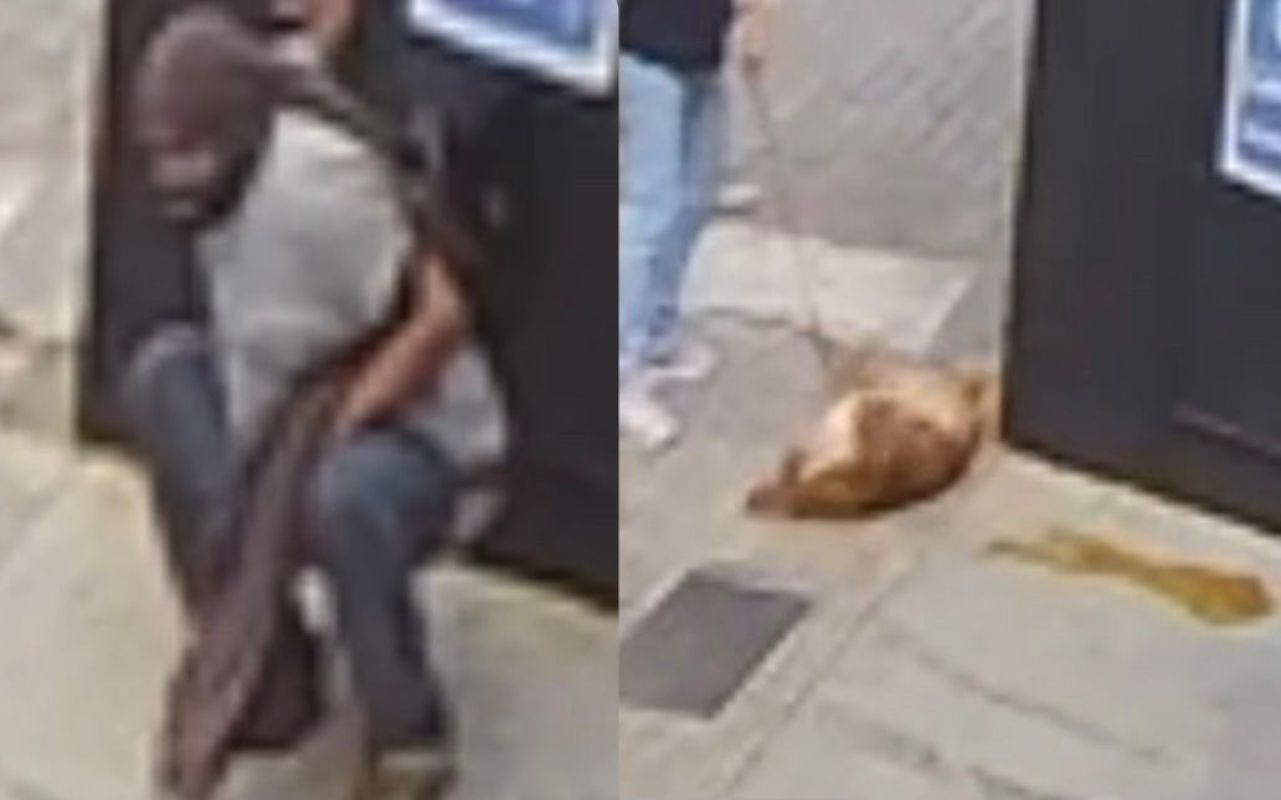 Homem faz cocô em frente a loja, cachorro se esfrega e vídeo viraliza!