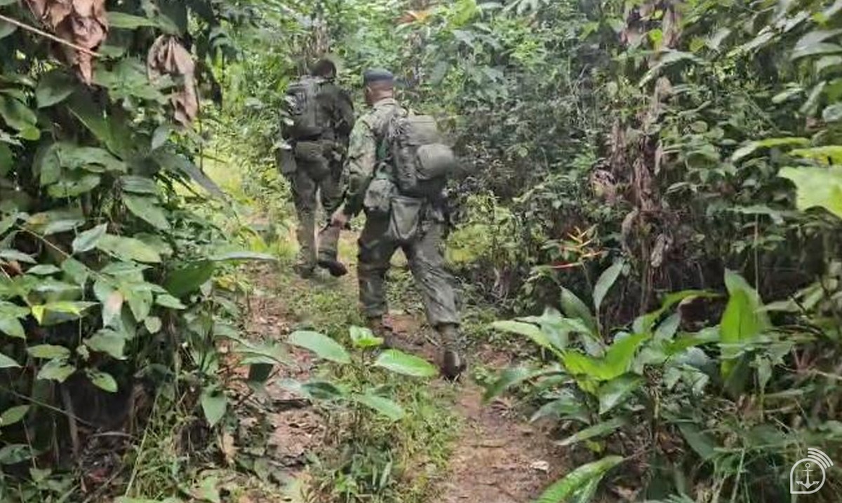 Defesa autoriza permanência temporária de 60 fuzileiros navais dos EUA no Brasil: saiba os detalhes!